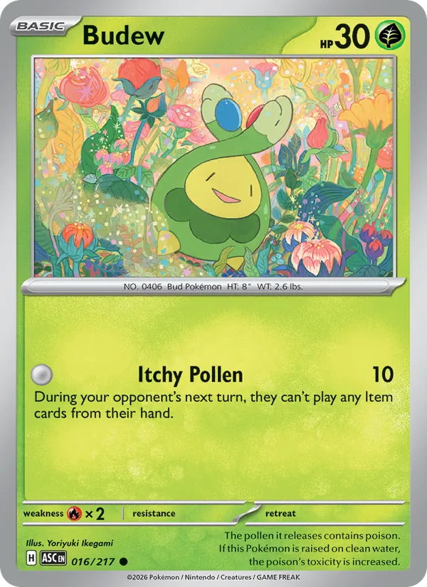 high-798.webp Budew - Ascended Heroes - 016 - Obrázek 1